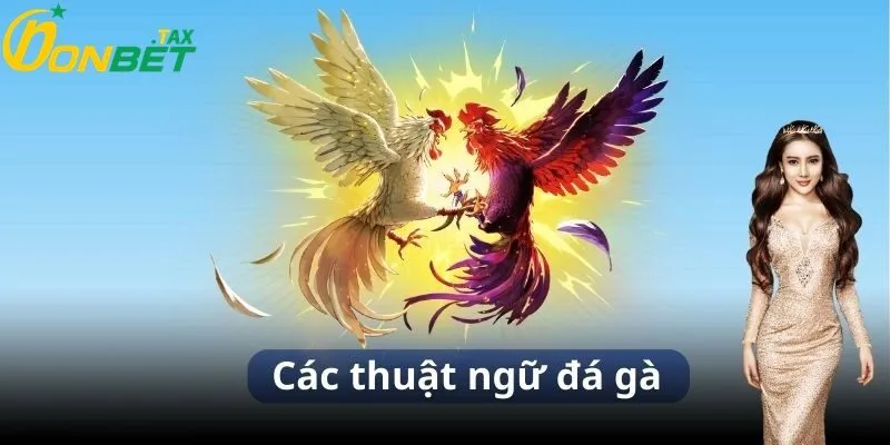 Các thuật ngữ trong đá gà tại ONBET