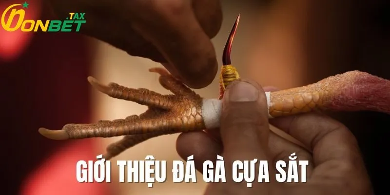 Giới thiệu chung về đá gà cựa sắt