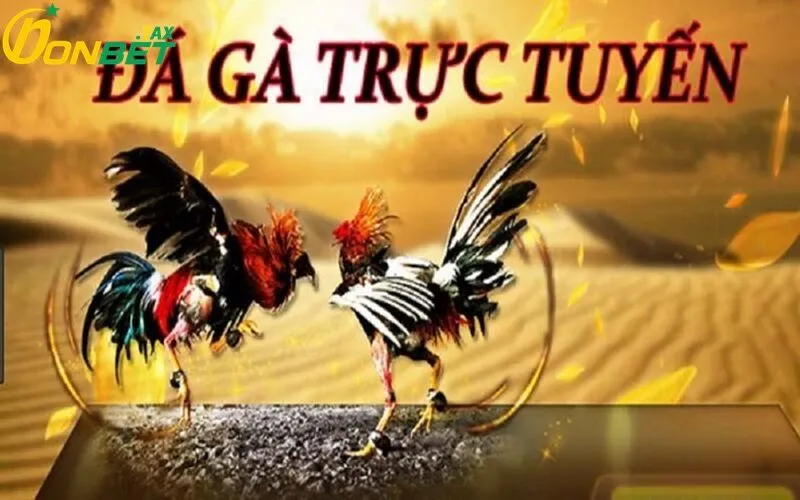 Hướng dẫn chi tiết tham gia đặt cược