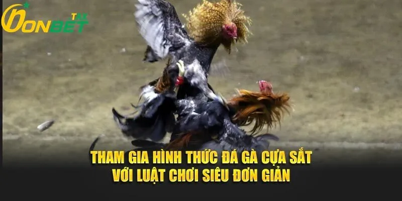 Hướng dẫn tham gia đá gà cựa sắt tại onbet 
